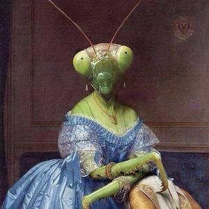 Meet your Posher, Crystal